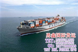 國際快遞電話 義烏至墨西哥國際快遞 勇鑫國際貨運領軍者