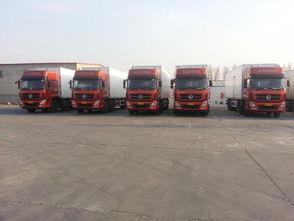 寧波至成都物流專線與國際物流服務解析